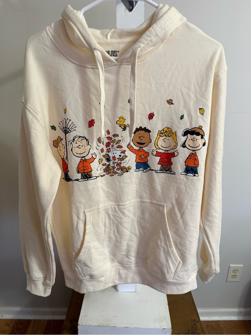 Peanuts Fall Hoodie